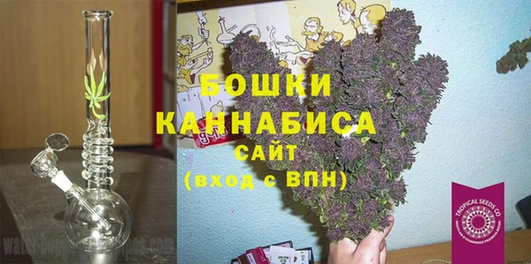 шишки Беломорск