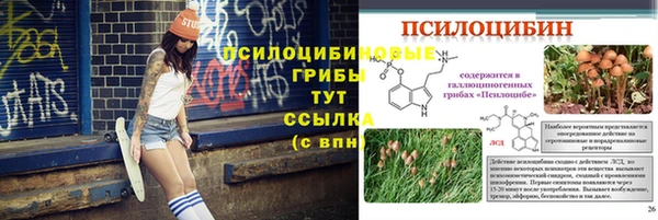 шишки Беломорск