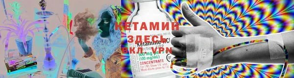 ГАЛЛЮЦИНОГЕННЫЕ ГРИБЫ Балабаново