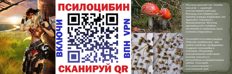 Галлюциногенные грибы Psilocybe Валуйки